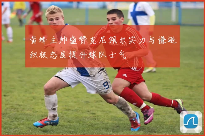 黄蜂主帅盛赞克尼佩尔实力与谦逊积极态度提升球队士气