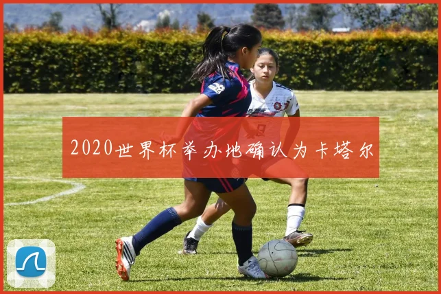 2020世界杯举办地确认为卡塔尔